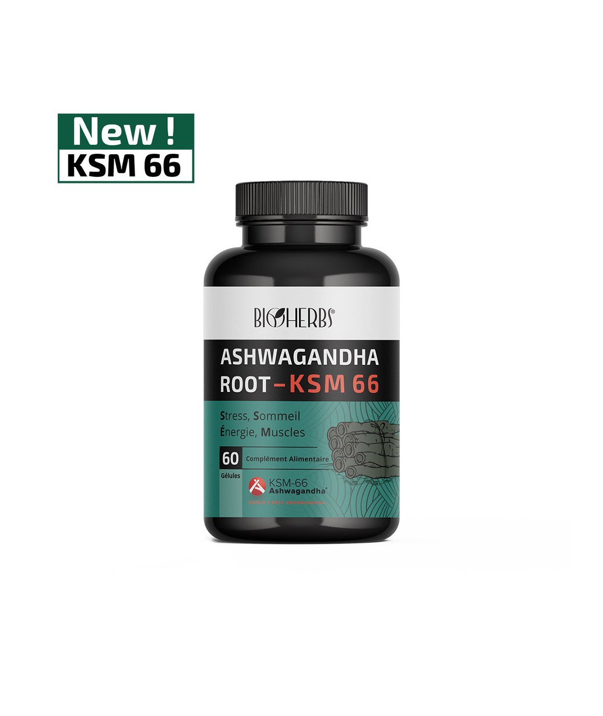 ASHWAGANDHA KSM 66 B60